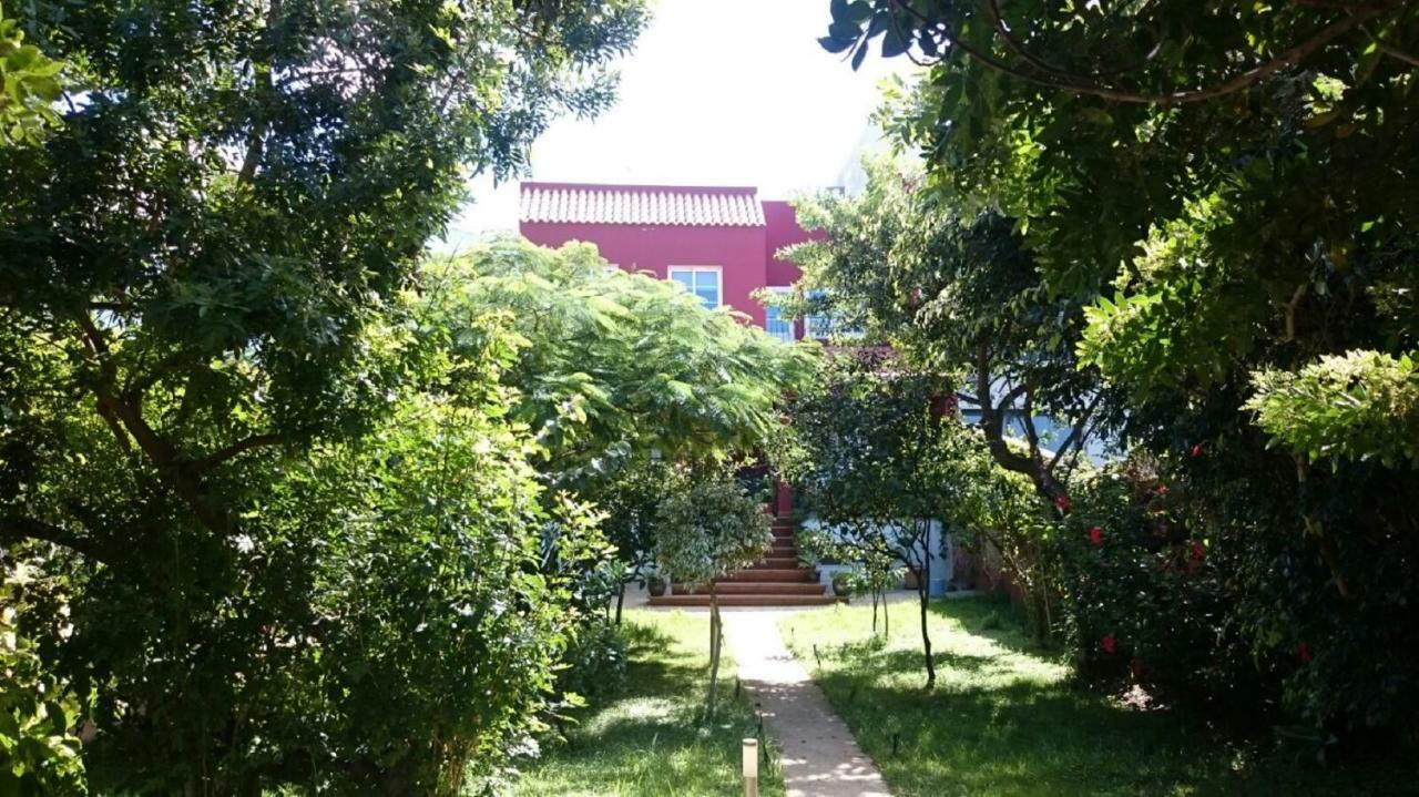 Casa El Tonelero Con Jardin Y Piscina Privada Villa Gáldar Dış mekan fotoğraf